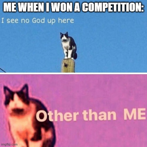 I'm stronger... I'm smarter.... I'M BETTER | ME WHEN I WON A COMPETITION: | image tagged in hail pole cat | made w/ Imgflip meme maker