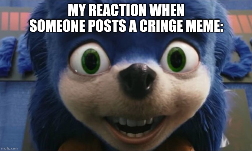 ugly sonic | MY REACTION WHEN SOMEONE POSTS A CRINGE MEME: | image tagged in ugly sonic,funny,cringe,sonic | made w/ Imgflip meme maker