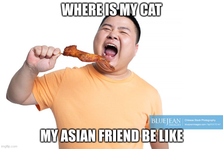 sowieso | WHERE IS MY CAT; MY ASIAN FRIEND BE LIKE | image tagged in grumpy cat | made w/ Imgflip meme maker