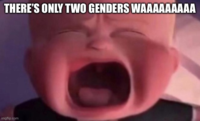 boss baby crying | THERE’S ONLY TWO GENDERS WAAAAAAAAA | image tagged in boss baby crying | made w/ Imgflip meme maker