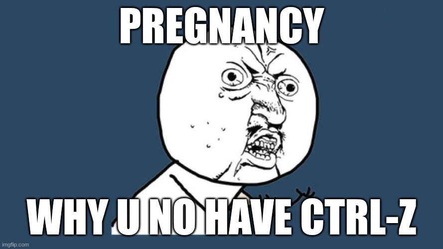 YU NO Guy | PREGNANCY; WHY U NO HAVE CTRL-Z | image tagged in yu no guy | made w/ Imgflip meme maker