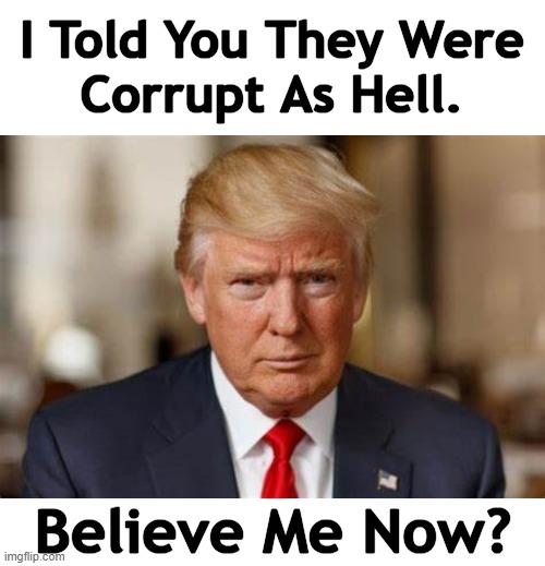 He Was Right All Along | I Told You They Were 
Corrupt As Hell. Believe Me Now? | image tagged in politics,donald trump,government corruption,corrupt,double standards,liberal hypocrisy | made w/ Imgflip meme maker