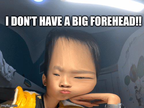 When you have a big forehead. | I DON’T HAVE A BIG FOREHEAD!! | image tagged in gifs,forehead | made w/ Imgflip images-to-gif maker