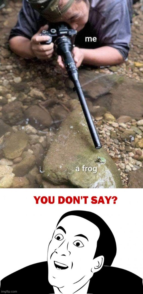 you don't say | image tagged in memes,you don't say | made w/ Imgflip meme maker