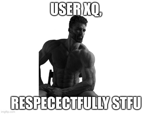 xq, stop stalking my memes and leaving hate comments. fr tho stop | USER XQ, RESPECECTFULLY STFU | image tagged in mean,annoying | made w/ Imgflip meme maker