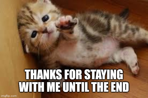 Sad kitten's goodbye | THANKS FOR STAYING WITH ME UNTIL THE END | image tagged in sad kitten goodbye | made w/ Imgflip meme maker