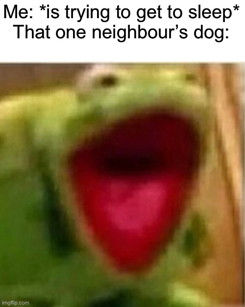 One reason why I don’t have a dog | Me: *is trying to get to sleep*
That one neighbour’s dog: | image tagged in ahhhhhhhhhhhhh,memes,funny,relatable,kermit,kermit the frog | made w/ Imgflip meme maker