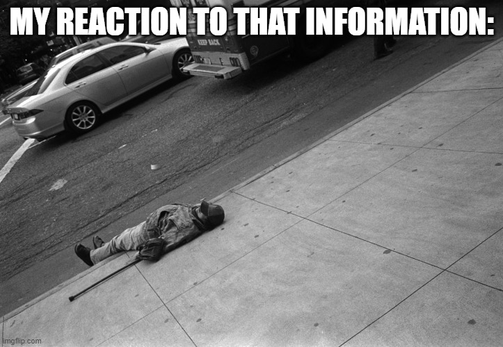 my reaction to that information: | MY REACTION TO THAT INFORMATION: | image tagged in funny | made w/ Imgflip meme maker