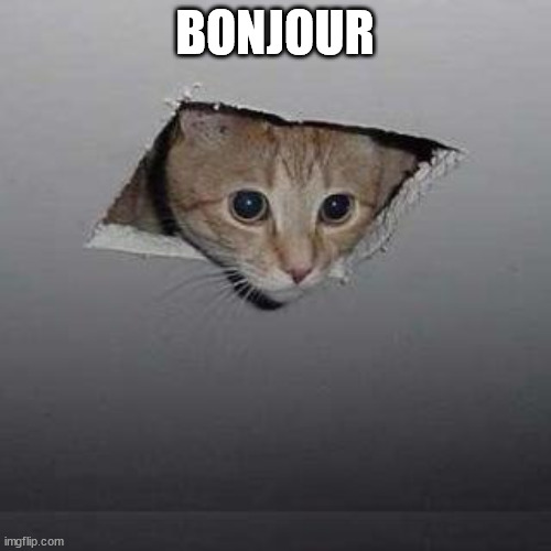 Ceiling Cat Meme | BONJOUR | image tagged in memes,ceiling cat | made w/ Imgflip meme maker