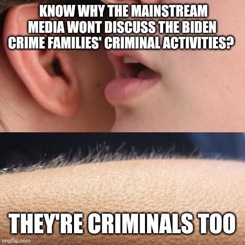 Whisper and Goosebumps | KNOW WHY THE MAINSTREAM MEDIA WONT DISCUSS THE BIDEN CRIME FAMILIES' CRIMINAL ACTIVITIES? THEY'RE CRIMINALS TOO | image tagged in whisper and goosebumps | made w/ Imgflip meme maker