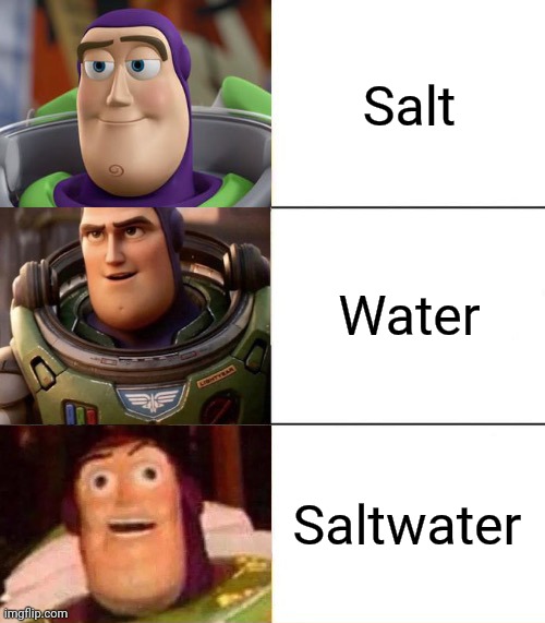 If you've ever tasted ocean water you get it | Salt; Water; Saltwater | image tagged in better best blurst lightyear edition,memes,ocean,salt,water,funny | made w/ Imgflip meme maker