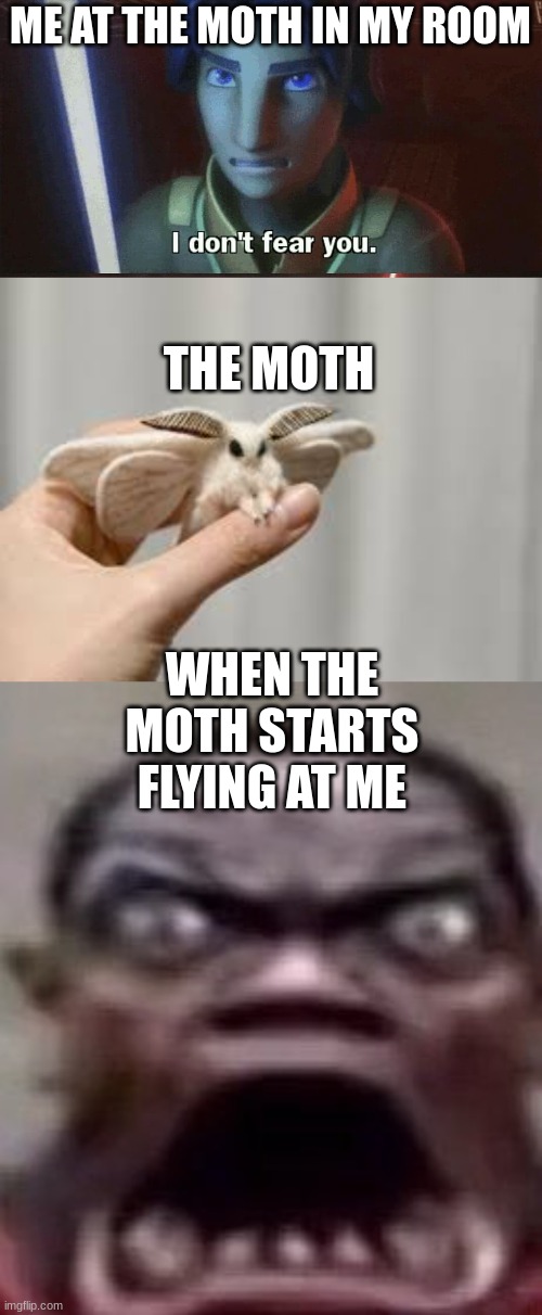 lol idk anymore | ME AT THE MOTH IN MY ROOM; THE MOTH; WHEN THE MOTH STARTS FLYING AT ME | image tagged in i don't fear you | made w/ Imgflip meme maker
