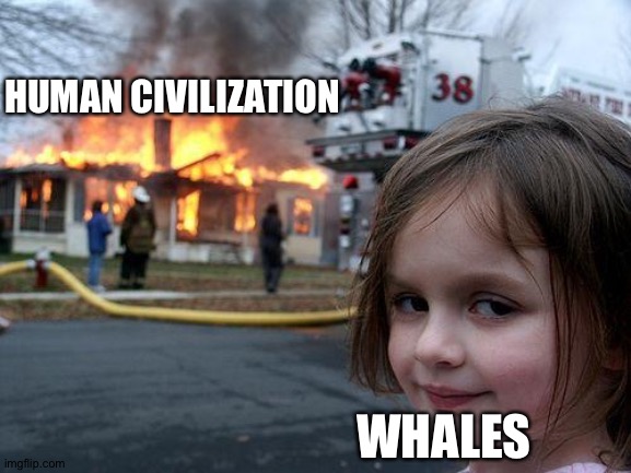 Disaster Girl | HUMAN CIVILIZATION; WHALES | image tagged in memes,disaster girl | made w/ Imgflip meme maker