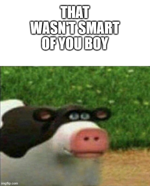 Perhaps cow | THAT WASN'T SMART OF YOU BOY | image tagged in perhaps cow | made w/ Imgflip meme maker