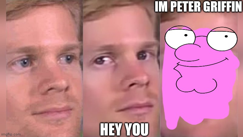 HEY YOU | IM PETER GRIFFIN; HEY YOU | image tagged in fourth wall breaking white guy,family guy | made w/ Imgflip meme maker