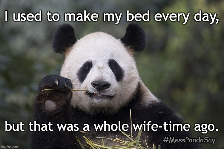 #MessPandaSay ... | I used to make my bed every day, but that was a whole wife-time ago. #MessPandaSay | image tagged in panda eating bamboo,wife,panda | made w/ Imgflip meme maker