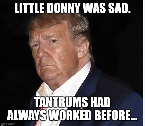 Sad little boy learns a lesson | LITTLE DONNY WAS SAD. TANTRUMS HAD ALWAYS WORKED BEFORE… | made w/ Imgflip meme maker