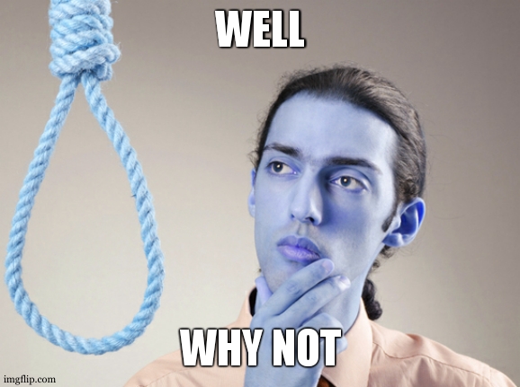 noose | WELL WHY NOT | image tagged in noose | made w/ Imgflip meme maker