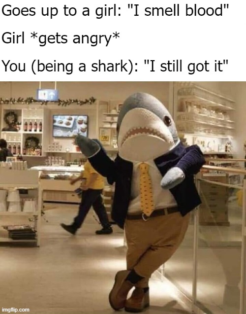 Goes up to a girl: "I smell blood"; Girl *gets angry*; You (being a shark): "I still got it" | image tagged in funny,funny picture | made w/ Imgflip meme maker
