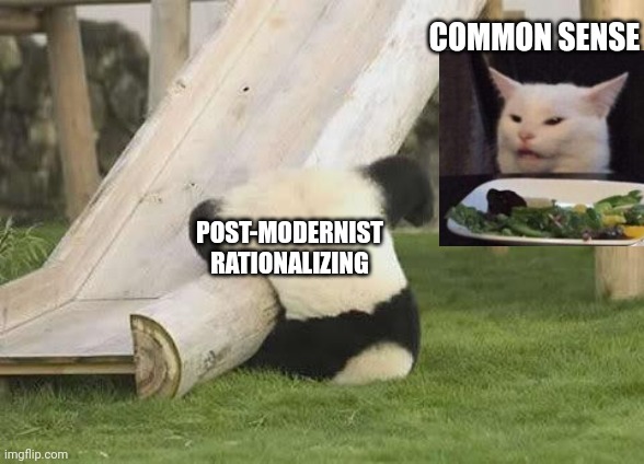 Panda Fail | COMMON SENSE POST-MODERNIST RATIONALIZING | image tagged in panda fail | made w/ Imgflip meme maker