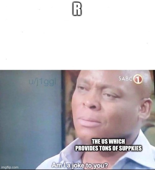 am I a joke to you | R THE US WHICH PROVIDES TONS OF SUPPLIES | image tagged in am i a joke to you | made w/ Imgflip meme maker