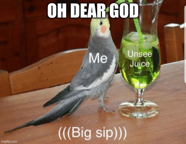 Unsee juice | OH DEAR GOD | image tagged in unsee juice | made w/ Imgflip meme maker