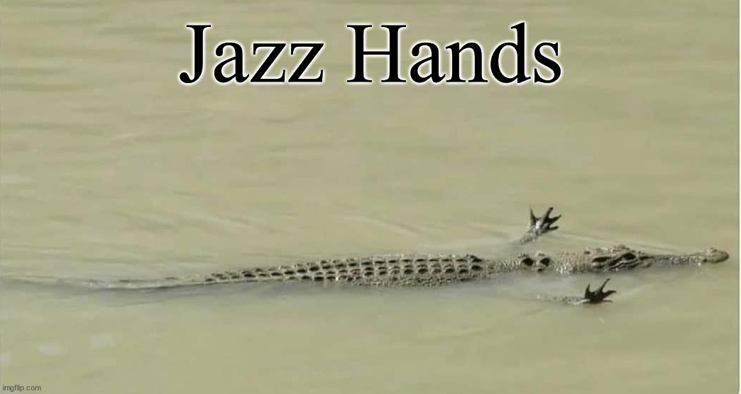 Jazz Hands | image tagged in funny | made w/ Imgflip meme maker