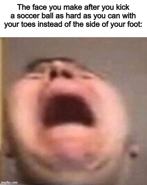 DON'T do this, for the sake of not breaking your toes :C | The face you make after you kick a soccer ball as hard as you can with your toes instead of the side of your foot: | image tagged in memes | made w/ Imgflip meme maker