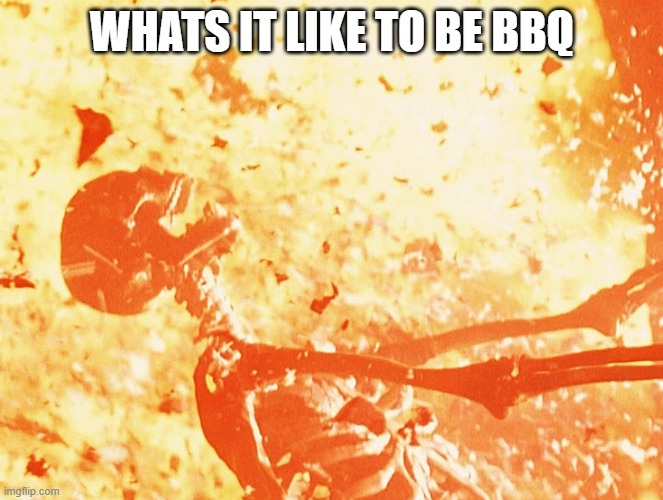 As a BBQ, That's 100% right | WHATS IT LIKE TO BE BBQ | image tagged in fire skeleton,bbq | made w/ Imgflip meme maker