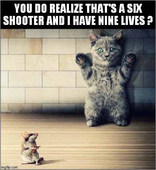Reach For The Sky, Kitty ! | YOU DO REALIZE THAT'S A SIX SHOOTER AND I HAVE NINE LIVES ? | image tagged in cats,mouse,gun | made w/ Imgflip meme maker