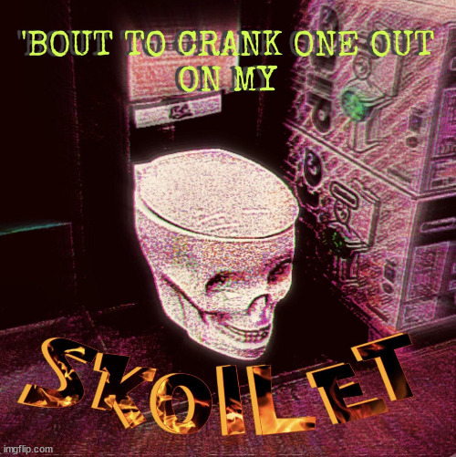 skoilet | image tagged in skoilet | made w/ Imgflip meme maker