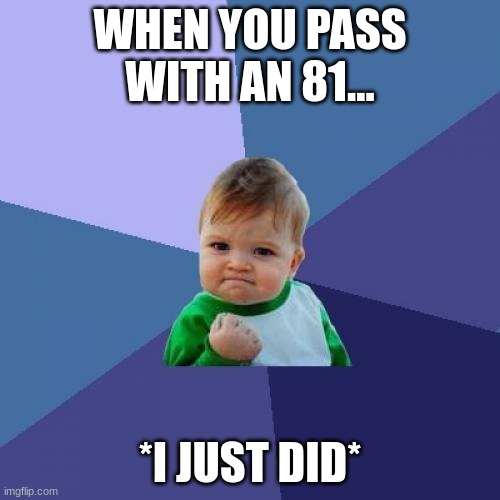 Success Kid | WHEN YOU PASS WITH AN 81... *I JUST DID* | image tagged in memes,success kid | made w/ Imgflip meme maker