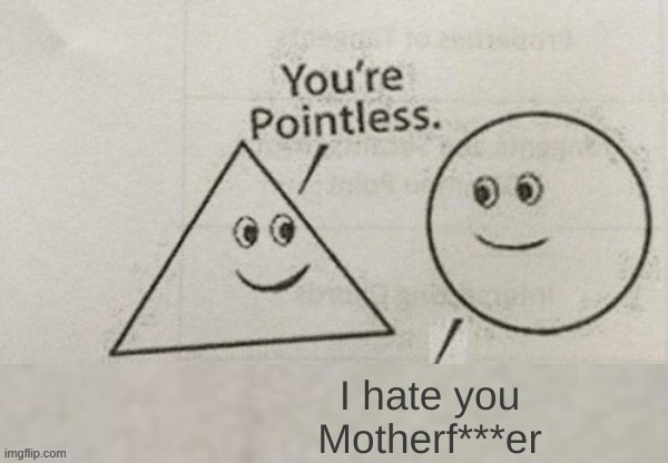 You're Pointless Blank | I hate you Motherf***er | image tagged in you're pointless blank | made w/ Imgflip meme maker