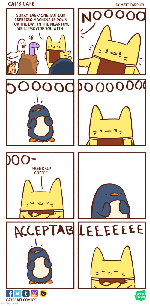 NOOOOOOOOOOOOOOOOOOOOOOOOOOOOOOOOOO | image tagged in cat,coffee,penguin | made w/ Imgflip meme maker