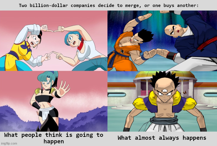 What happens thanks to mergers and acquisitions | image tagged in fusion dance,bulma,chichi,tien,yamcha,tiencha | made w/ Imgflip meme maker