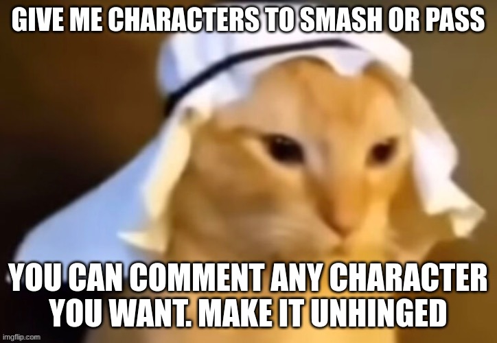 haram cat | GIVE ME CHARACTERS TO SMASH OR PASS; YOU CAN COMMENT ANY CHARACTER YOU WANT. MAKE IT UNHINGED | image tagged in haram cat | made w/ Imgflip meme maker