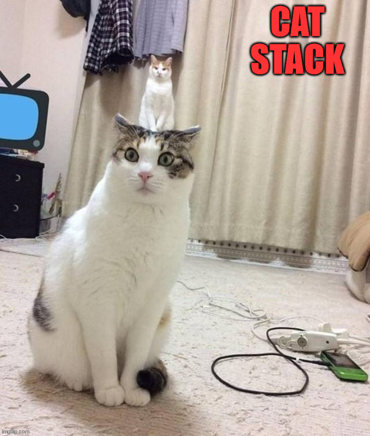 CAT STACK | made w/ Imgflip meme maker