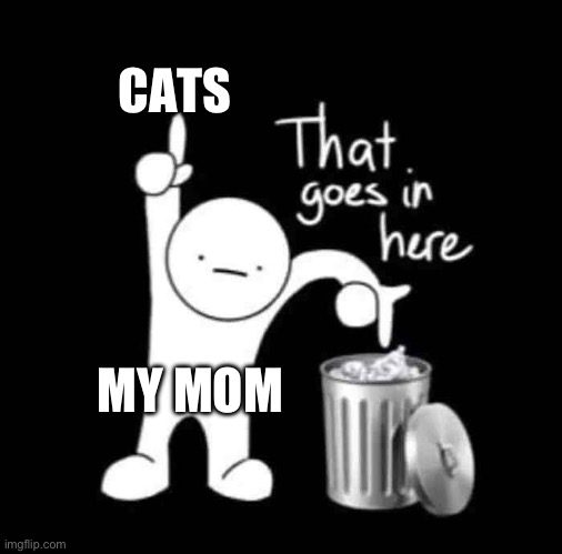 I kinda understand because they claw apart furniture but they're still cute IMO | CATS; MY MOM | image tagged in that goes in here,cats,my mom | made w/ Imgflip meme maker