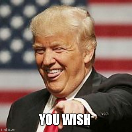 Trump Laughing | YOU WISH | image tagged in trump laughing | made w/ Imgflip meme maker