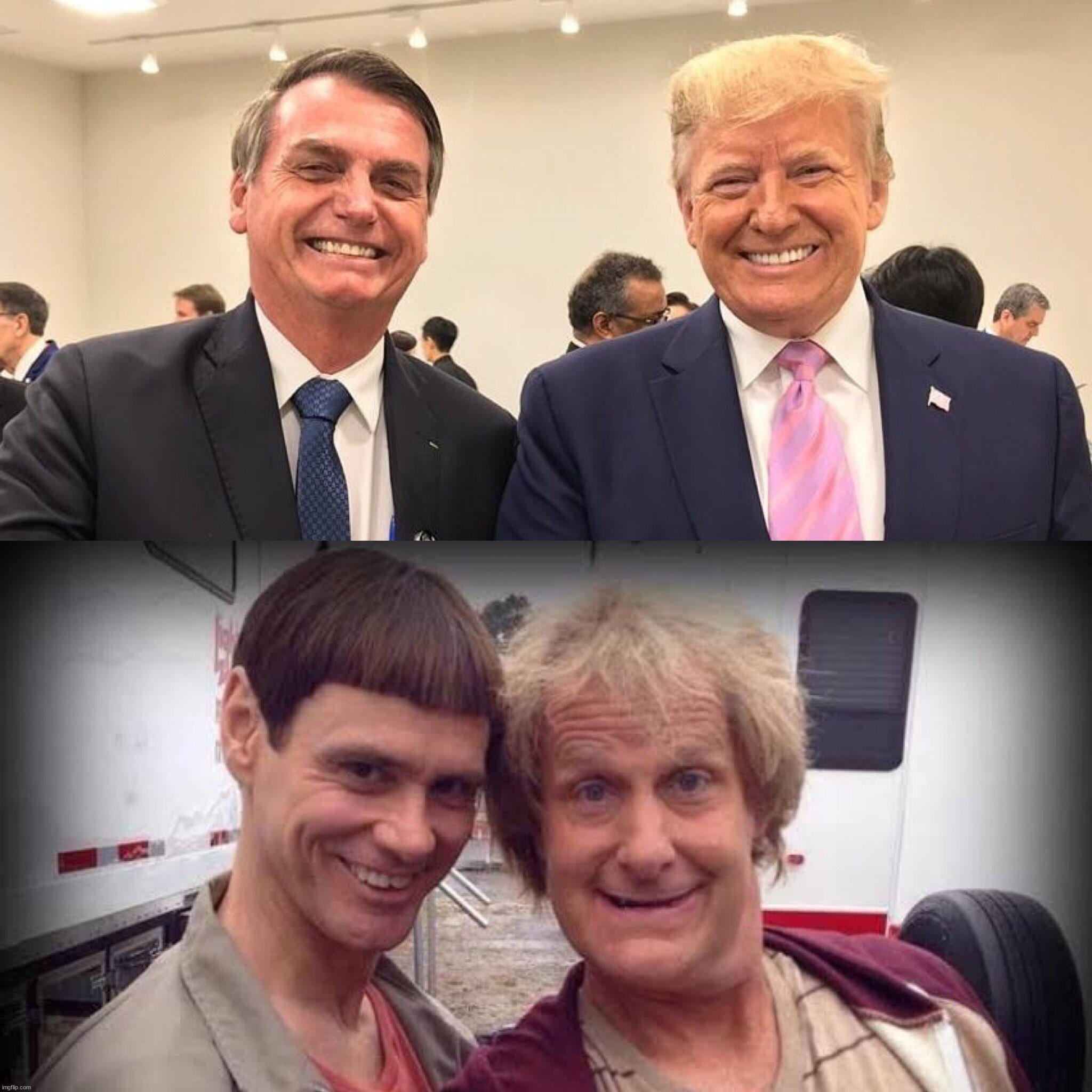 Bolsonaro and Trump | image tagged in bolsonaro,trump,dumb and dumber,harry,lloyd | made w/ Imgflip meme maker