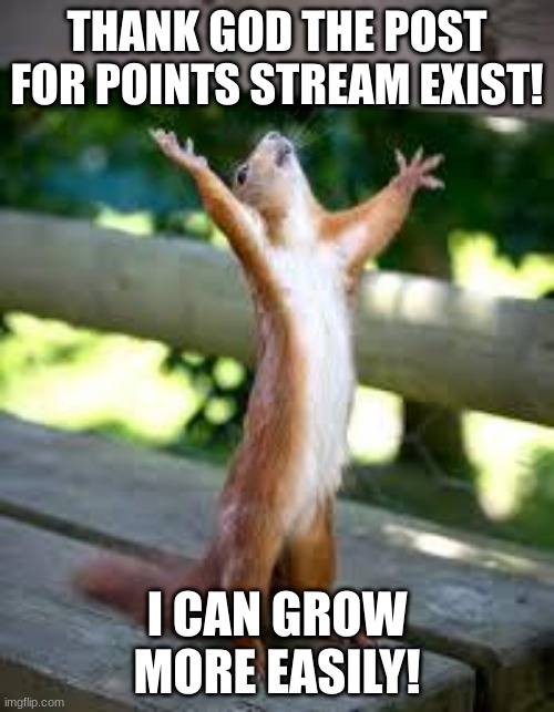 Thank the creators for this | THANK GOD THE POST FOR POINTS STREAM EXIST! I CAN GROW MORE EASILY! | image tagged in praise squirrel | made w/ Imgflip meme maker