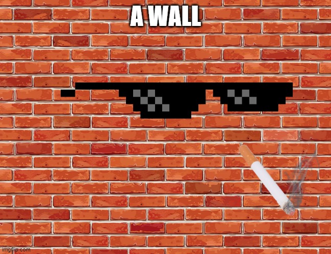 Wall | A WALL | image tagged in wall | made w/ Imgflip meme maker