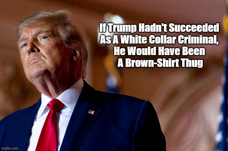 If Trump Hadn't Succeeded As A White Collar Criminal... | If Trump Hadn't Succeeded 
As A White Collar Criminal, 

He Would Have Been 
A Brown-Shirt Thug | image tagged in trump,trump felon,trump criminal,brown shirt thug | made w/ Imgflip meme maker