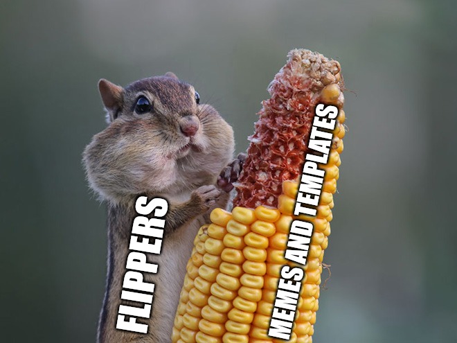 MEMES AND TEMPLATES; FLIPPERS | made w/ Imgflip meme maker