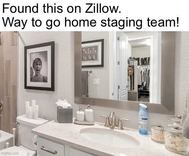 House for For Sale | Found this on Zillow. Way to go home staging team! | image tagged in funny memes,house hunting,zillow,psycho | made w/ Imgflip meme maker