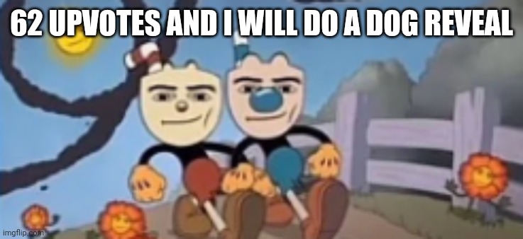 Man Face Cuphead | 62 UPVOTES AND I WILL DO A DOG REVEAL | image tagged in man face cuphead | made w/ Imgflip meme maker