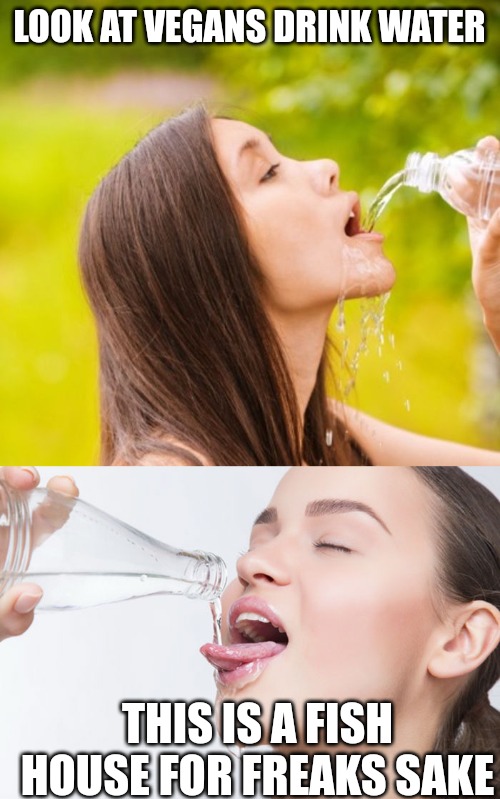 LOOK AT VEGANS DRINK WATER; THIS IS A FISH HOUSE FOR FREAKS SAKE | made w/ Imgflip meme maker