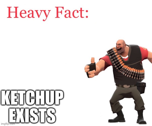 Heavy Fact | KETCHUP EXISTS | image tagged in heavy fact | made w/ Imgflip meme maker
