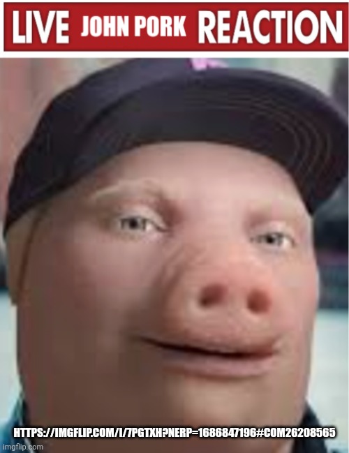 Bro thinks this is the fun stream | HTTPS://IMGFLIP.COM/I/7PGTXH?NERP=1686847196#COM26208565 | image tagged in live john pork reaction | made w/ Imgflip meme maker
