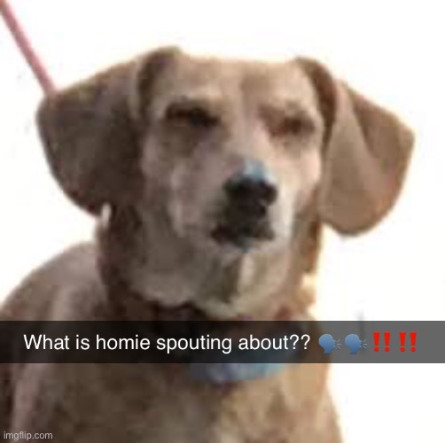 What is homie spouting about? | image tagged in what is homie spouting about | made w/ Imgflip meme maker
